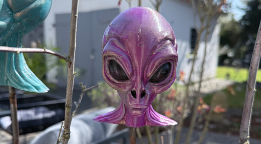 🛸 Neuzugang im Garten: Der Alien ist gelandet!