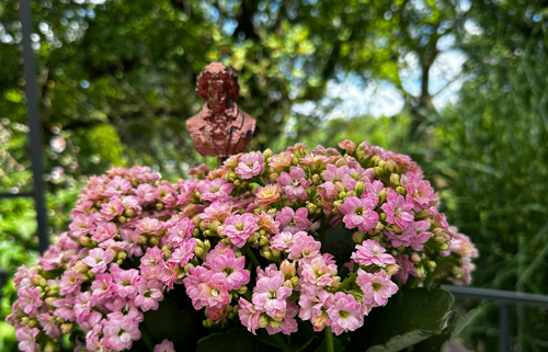 Blumenstecker > Beethoven < Kupfer