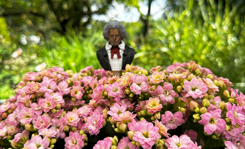 Blumenstecker > Beethoven < Original