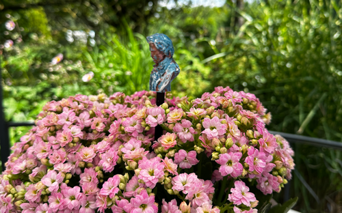 Blumenstecker > Beethoven < Blau