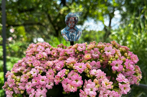 Blumenstecker > Beethoven < Blau