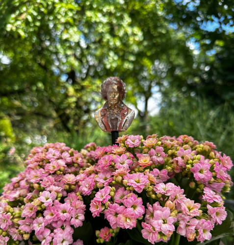 Blumenstecker > Beethoven < Gold-Braun