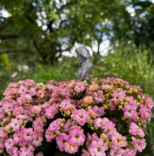 Blumenstecker > Beethoven < Grau