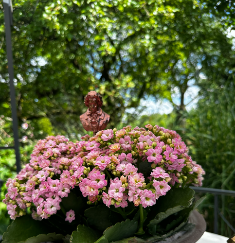 Blumenstecker > Beethoven < Kupfer