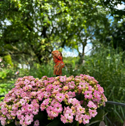 Blumenstecker > Beethoven < Orange