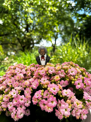 Blumenstecker > Beethoven < Original