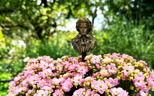 Blumenstecker > Beethoven