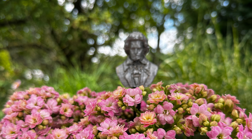 Blumenstecker > Beethoven < Grau