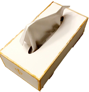 Kosmetiktücherbox > Shabby