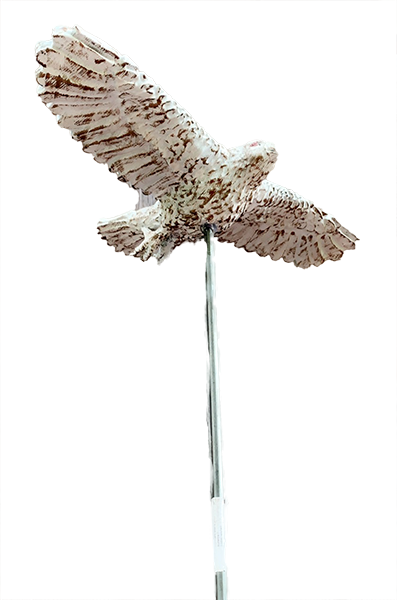 Gartenstecker > Hawk
