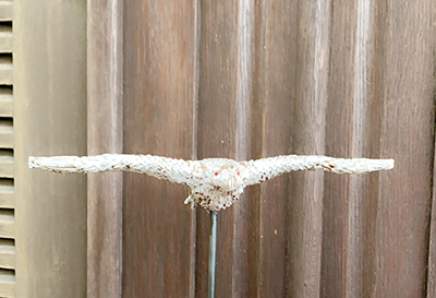 Gartenstecker > Hawk